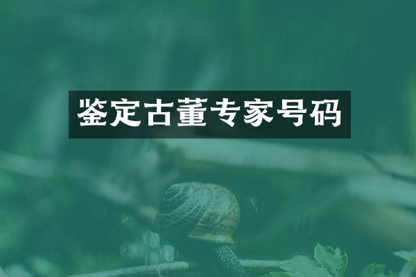 鉴定古董专家号码