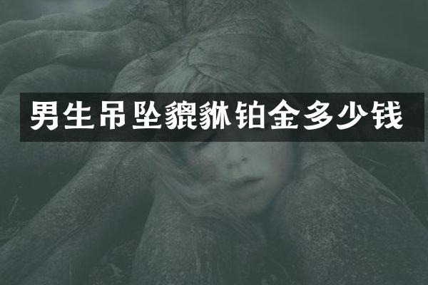 男生吊坠貔貅铂金多少钱