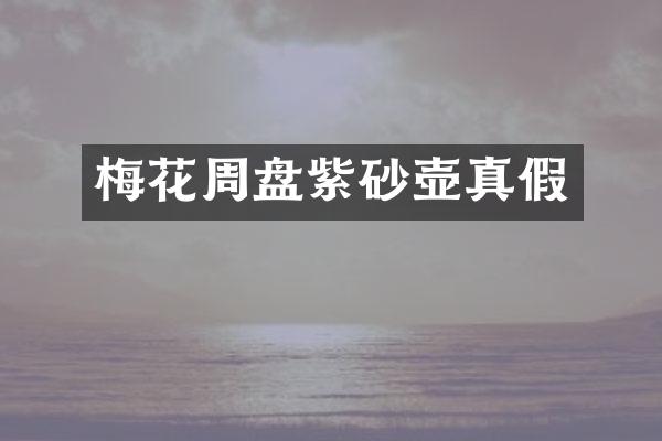 梅花周盘紫砂壶真假