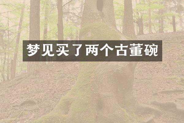 梦见买了两个古董碗