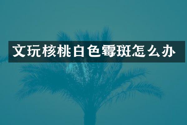 文玩核桃白色霉斑怎么办