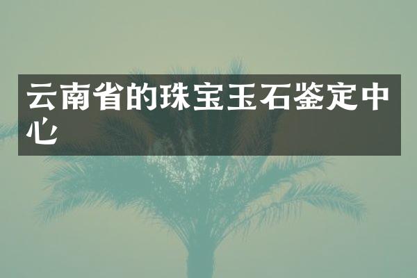 云南省的珠宝玉石鉴定中心