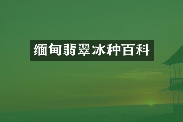 缅甸翡翠冰种百科