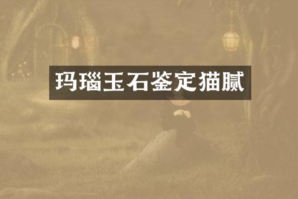 玛瑙玉石鉴定猫腻
