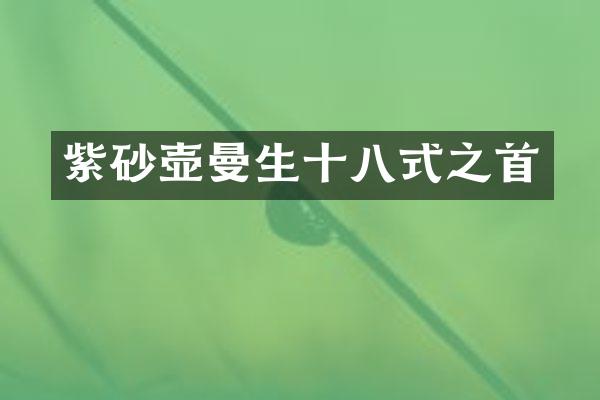 紫砂壶曼生十八式之首