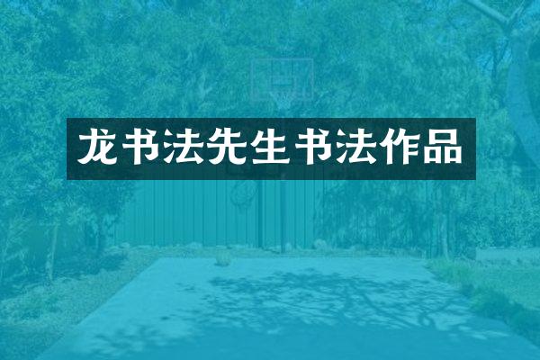 龙书法先生书法作品