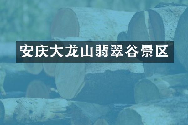 安庆大龙山翡翠谷景区