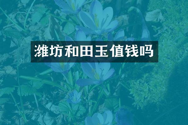 潍坊和田玉值钱吗