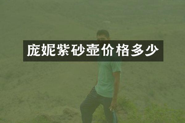 庞妮紫砂壶价格多少