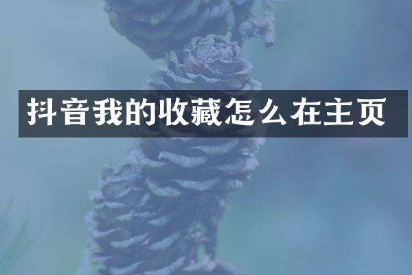 抖音我的收藏怎么在主页