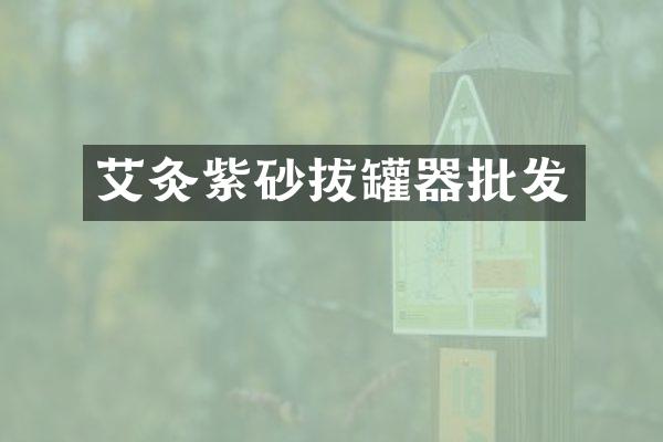 艾灸紫砂拔罐器批发