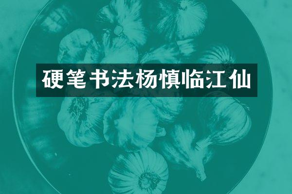 硬笔书法杨慎临江仙