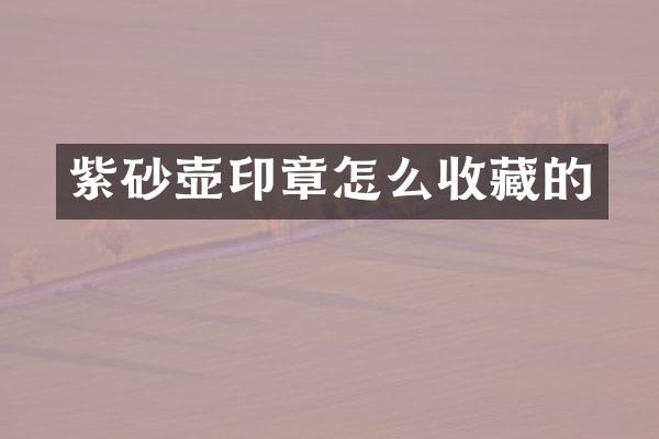 紫砂壶印章怎么收藏的