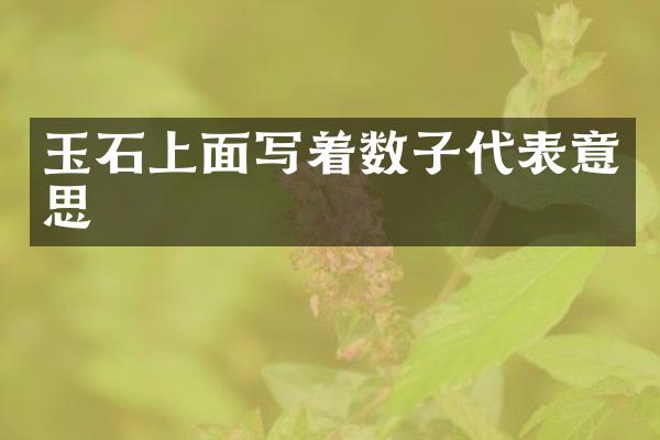 玉石上面写着数子代表意思