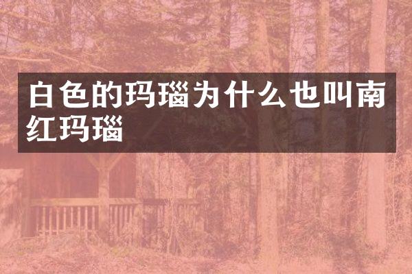 白色的玛瑙为什么也叫南红玛瑙