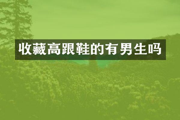 收藏高跟鞋的有男生吗