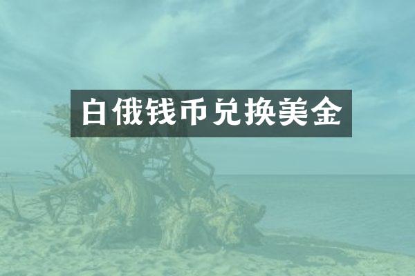 白俄钱币兑换美金