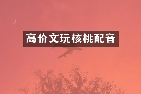 高价文玩核桃配音
