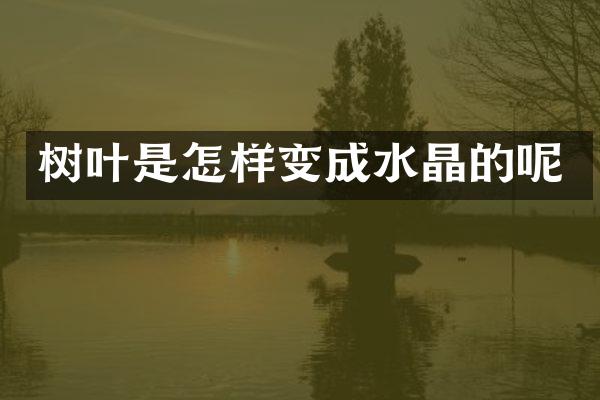 树叶是怎样变成水晶的呢