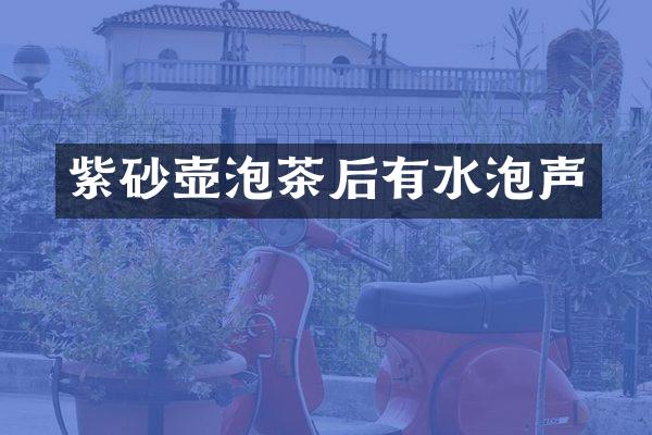 紫砂壶泡茶后有水泡声