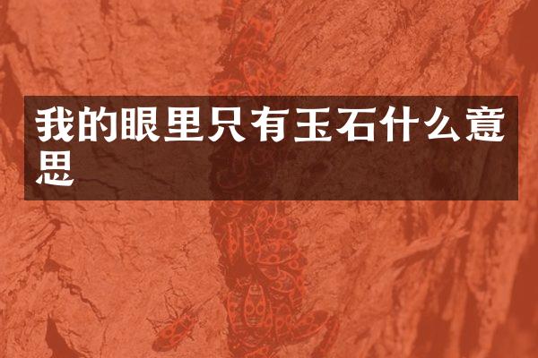 我的眼里只有玉石什么意思