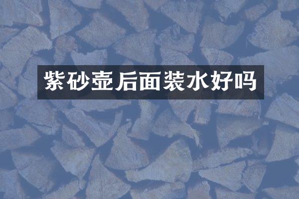 紫砂壶后面装水好吗
