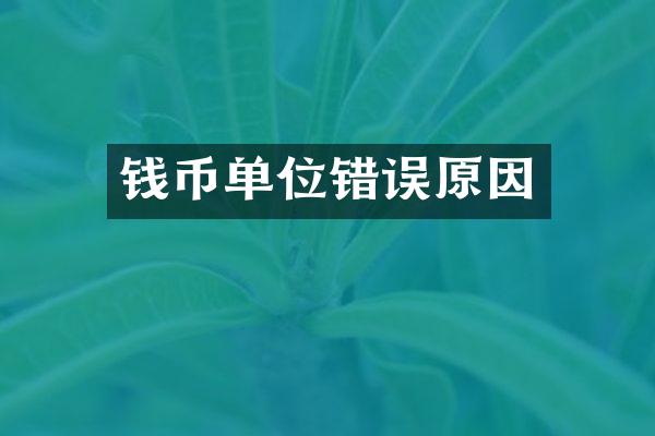 钱币单位错误原因