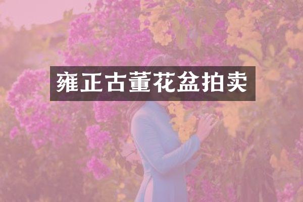 雍正古董花盆拍卖