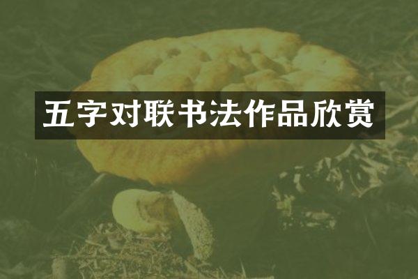 五字对联书法作品欣赏