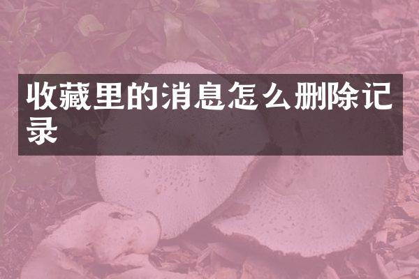 收藏里的消息怎么删除记录