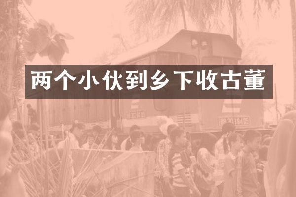 两个小伙到乡下收古董