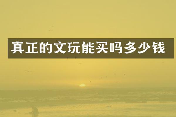 真正的文玩能买吗多少钱