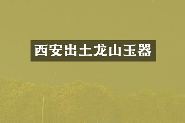 西安出土龙山玉器