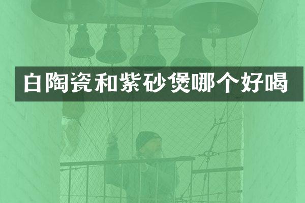 白陶瓷和紫砂煲哪个好喝