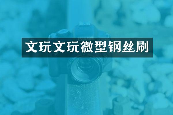 文玩文玩微型钢丝刷
