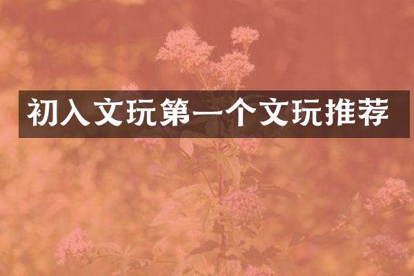初入文玩第一个文玩推荐