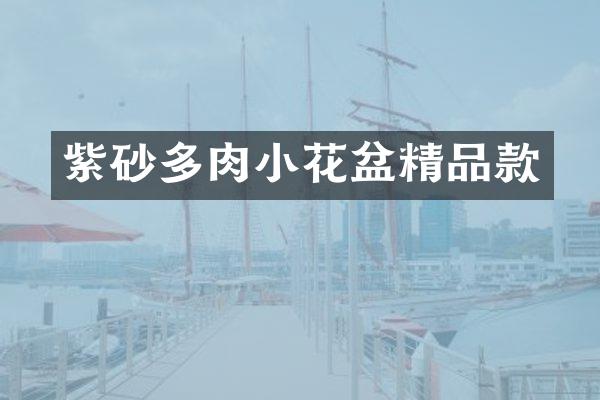紫砂多肉小花盆精品款