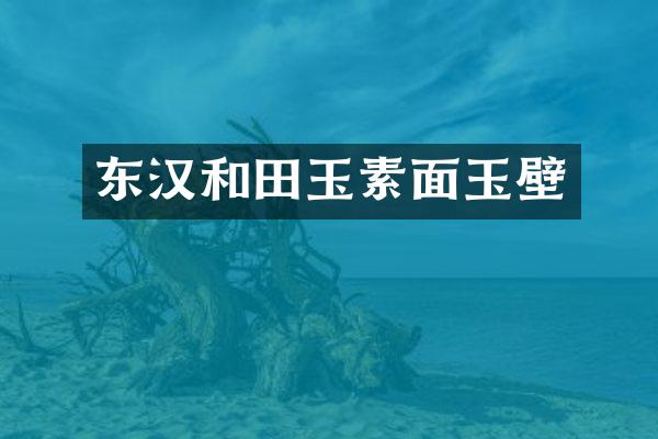 东汉和田玉素面玉壁