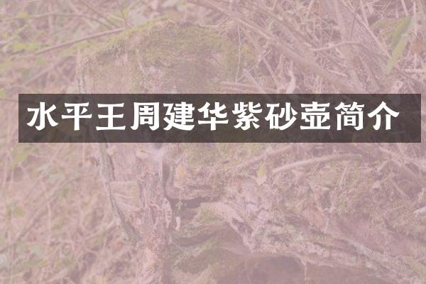 水平王周建华紫砂壶简介