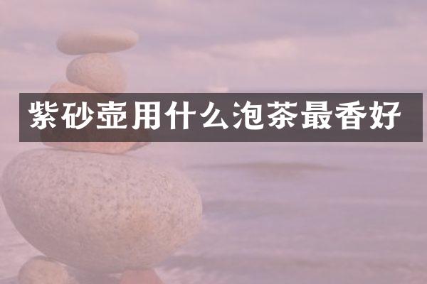 紫砂壶用什么泡茶最香好