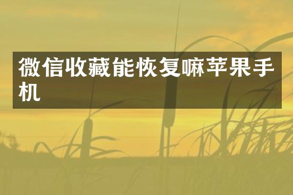 微信收藏能恢复嘛苹果手机
