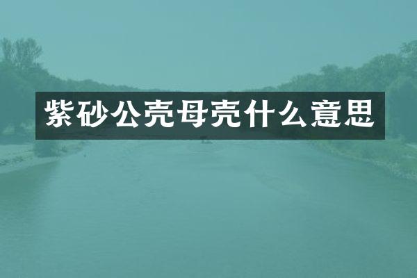 紫砂公壳母壳什么意思