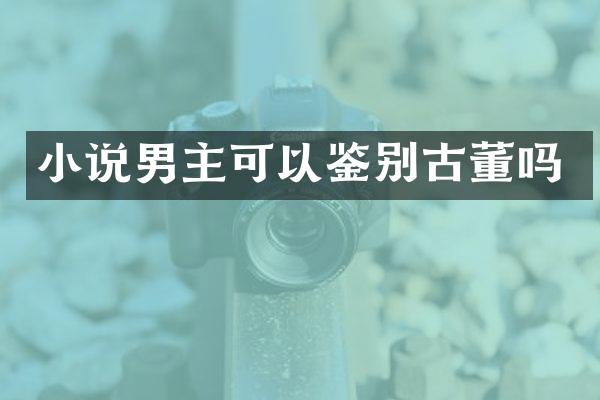 小说男主可以鉴别古董吗