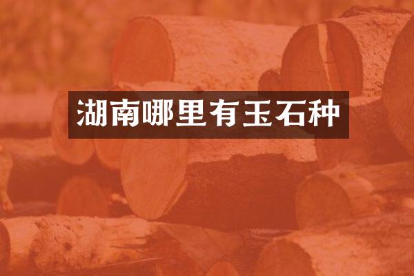 湖南哪里有玉石种