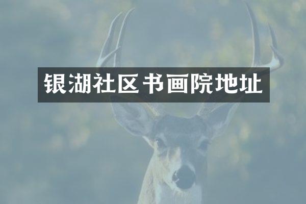 银湖社区书画院地址