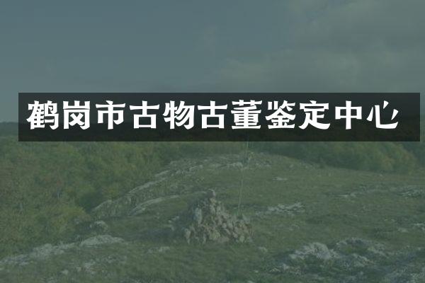 鹤岗市古物古董鉴定中心