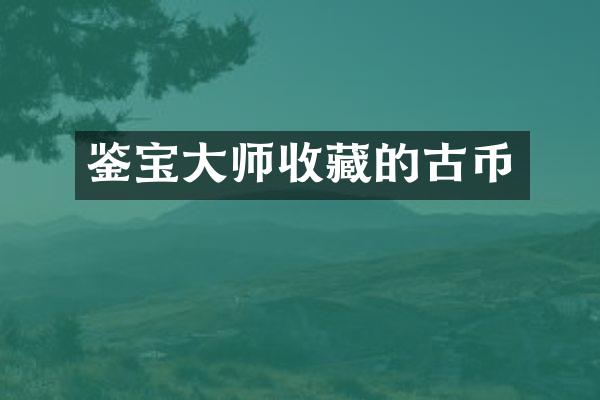 鉴宝大师收藏的古币