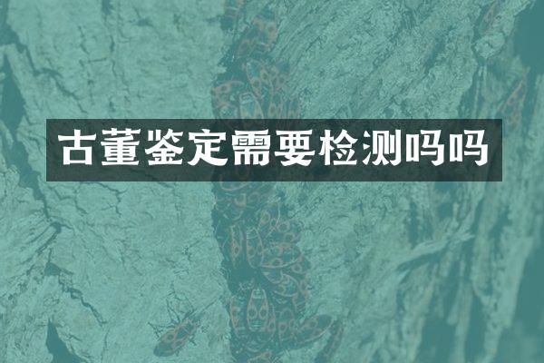 古董鉴定需要检测吗吗