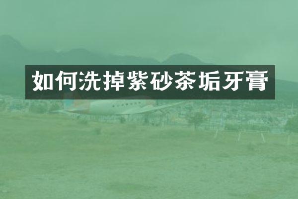 如何洗掉紫砂茶垢牙膏