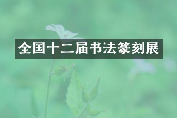 全国十二届书法篆刻展
